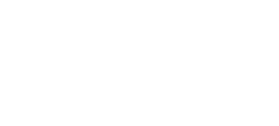 Primoris@4x