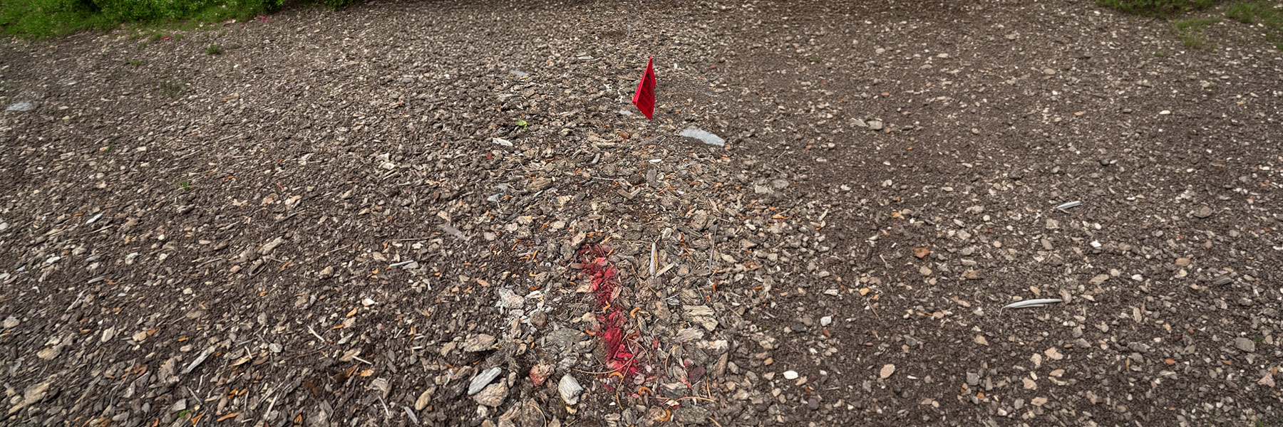 red pain on the ground, showing subsurface electrical utility